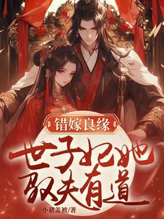 【抖音热推】叶婉清陆晏洲全文在线阅读-错嫁良缘：世子妃她驭夫有道全章节目录