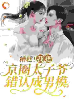 (抖音)糟糕！我把京圈太子爷错认成男模安姝季泊聿岑霖小说免费全文阅读