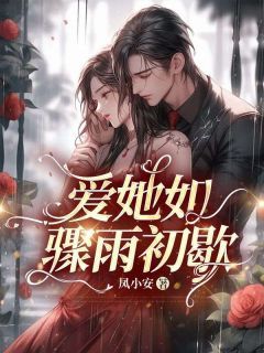 抖音小说爱她如骤雨初歇裴延川沈白芷全文txt