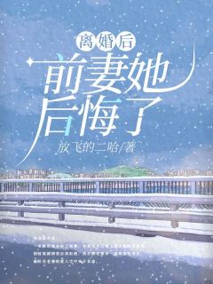 陆子安唐暖暖主角小说离婚后，前妻她后悔了抖音文免费阅读全文
