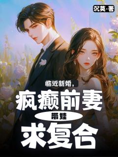 陆城夏晓芸全章节阅读-临近新婚，疯癫前妻带娃求复合全文分享阅读