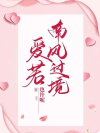 爱若南风过境免费阅读全文，主角岑舒雨肖若寒小说完整版