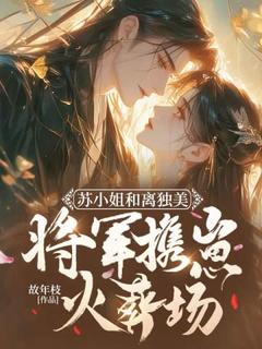 抖音苏小姐和离独美，将军携崽火葬场小说章节阅读