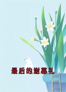 抖音热推小说最后的谢幕礼全文在线阅读
