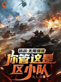 好看的抗战：无限爆装，你管这是区小队小说，主角赵军王喜奎最新章节阅读