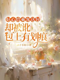 好心给乘客送包，却被讹包上有划痕小说(完结版)-陈娇繁星在线阅读