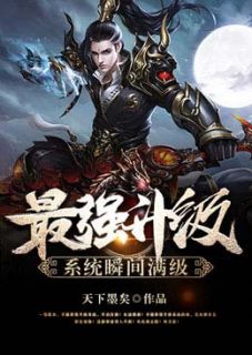 最强升级系统瞬间满级全本小说（最强升级系统瞬间满级）全文阅读-暗夜阅读网