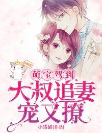 抖音小说萌宝驾到：大叔追妻宠又撩主角白樱权京墨全文小说免费阅读