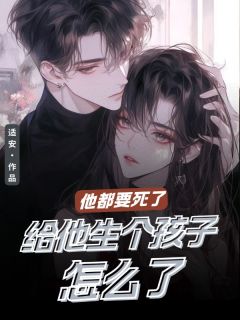 抖音小说他都要死了给他生个孩子怎么了主角秦岚沈如风全文小说免费阅读-暗夜阅读网