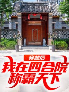 抖音爆款小说穿越后，我在四合院称霸天下何雨柱许大茂免费txt全文阅读-暗夜阅读网