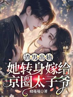 渣男出轨，她转身嫁给京圈太子爷无广告阅读 沈欢意陆淮之免费在线阅读