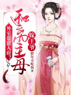 外室带崽入府？和离主母嫁王爷小说(完本)-江慕好顾承靖无错版阅读