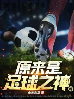 原来是足球之神啊亚瑟史蒂夫小说_原来是足球之神啊完结版阅读