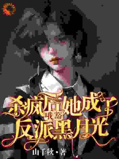 热文哦豁!杀疯后她成了反派黑月光!小说-主角叶邢舒司南全文在线阅读-暗夜阅读网