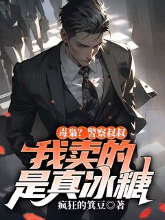 陈启李昊全章节阅读-毒枭?警察叔叔,我卖的是真冰糖全文分享阅读-暗夜阅读网