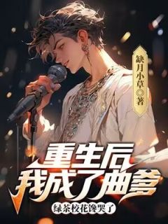 陈言苏元兮全本章节在线阅读大结局-暗夜阅读网