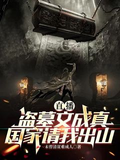全章节小说直播：盗墓文成真，国家请我出山未曾清贫难成人最新阅读
