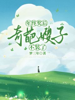 正版小说年终奖后，奇葩嫂子不装了眠眠轩轩在线免费阅读