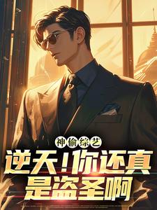 爆款小说神偷综艺：逆天！你还真是盗圣啊在线阅读-林川王助理免费阅读
