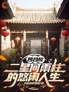 小仙庭的黑耀最新小说四合院：二星何雨柱的悠闲人生何雨柱龚长勇在线试读