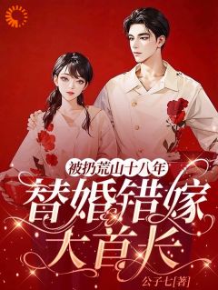 许辛苑黎响主角小说被扔荒山十八年，替婚错嫁大首长抖音文免费阅读全文-暗夜阅读网