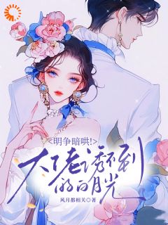 明争暗哄！大佬诱不到的白月光(白桉路擎苍)小说全章节目录阅读