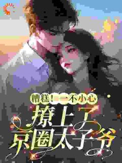 (抖音)糟糕！一不小心撩上了京圈太子爷苏夏顾帆小说免费全文阅读