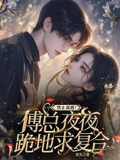 林舒晚傅辞全文最新章节正版小说免费阅读