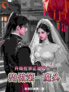 开局抢亲正道盟主，势做第一魔头免费阅读全文，主角陆玄泽南宫清霜小说完整版最新章节
