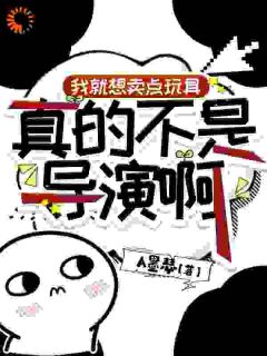 快手我就想卖点玩具，真的不是导演啊小说全本章节大结局