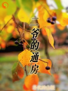 二爷的通房小说-二爷的通房抖音小说沉鱼二爷