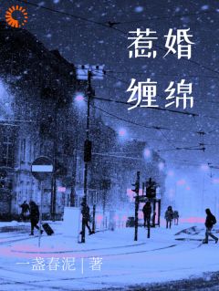 惹婚缠绵免费阅读全文，主角黎书艺顾越泽小说完整版-暗夜阅读网