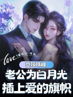 林晚秋沈岩川主角的小说完结版登顶珠峰，老公为白月光插上爱的旗帜全集