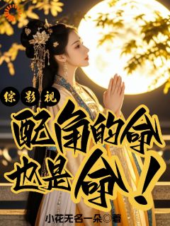 老书虫书荒推荐综影视：配角的命也是命！txt小说阅读