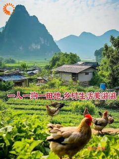 一人一狗一田地，乡村生活美滋滋秦小川苏圆润小说全文章节阅读-暗夜阅读网