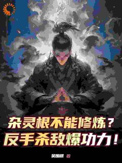 (抖音小说)凌轩陆澈小说全文阅读免费-暗夜阅读网