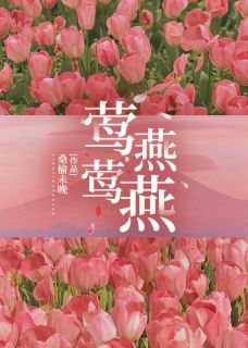 热文莺莺燕燕小说-主角吕轻歌徐璟全文在线阅读-暗夜阅读网