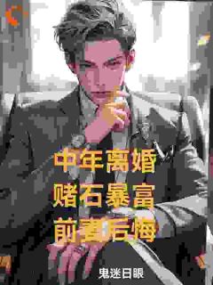 中年离婚，赌石暴富，前妻后悔by鬼迷日眼