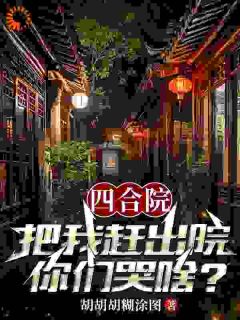 知乎小说四合院：把我赶出院，你们哭啥？主角是罗斌罗建国全文阅读