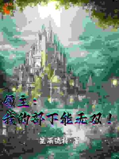 林迪诺尔领主：我的部下能无双！全章节免费阅读