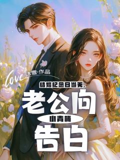 主角是苏瑶沈逸辰林悦微的小说-结婚纪念日当天，老公向小青梅告白完整章节阅读