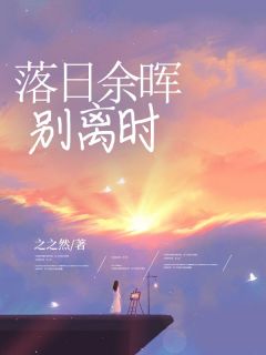 (精品)落日余晖别离时小说