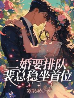 二婚要排队,裴总稳坐首位!小说免费阅读 盛南音付宴安大结局完整版-暗夜阅读网