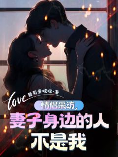 爆款小说由作者葡萄爱啵啵所创作的情侣采访，妻子身边的人不是我在线阅读-暗夜阅读网