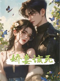 (抖音小说)林雪沈廷渊小说全文阅读免费