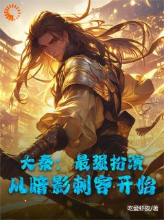 主角是李轩雪姬的小说-大秦：最强扮演，从暗影刺客开始完整章节阅读-暗夜阅读网