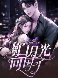 老公的白月光回国了知乎后续免费试读-暗夜阅读网