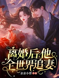 夏南乔陆时宴主角的小说完结版离婚后，他全世界追妻全集