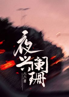 老书虫书荒推荐夜兴阑珊txt小说阅读