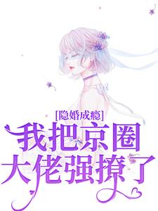 隐婚成瘾，我把京圈大佬强撩了免费阅读全文，主角林书晚傅砚辞小说完整版